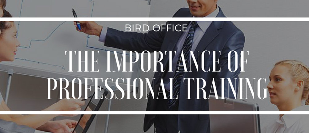 The importance of professional training - Bird Office Blog