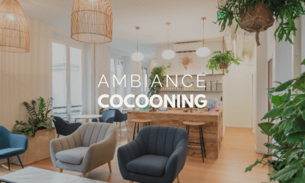 Créer une ambiance cocooning dans votre salle de réunion